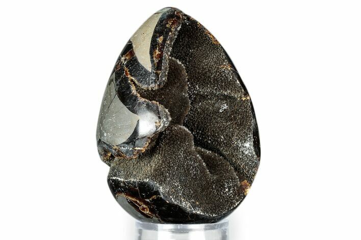 Septarian Dragon Egg Geode - Sparkly Black Crystals #343862